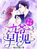 幸孕三宝九爷霸宠小娇妻免费