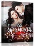 宁爷一吻沦陷 雪满舟