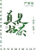 真正好茶