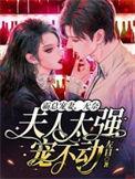 短剧霸总宠妻无度