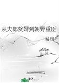 从夫郎赘婿到朝野重臣讲的什么