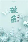 破茧电视剧免费观看