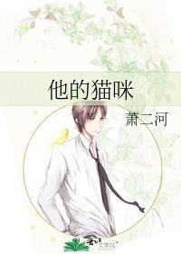 他的猫全文阅读