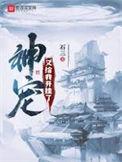 神宠又给我开挂了介绍境界