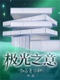 极光之北全部作品
