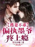 偏执墨爷的重生小萌妻