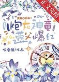 炮灰带球跑玄霖最新章节更新内容介