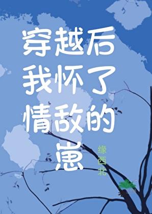 我怀了情敌的崽abo