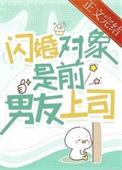 闪婚对象是前男友上司大结局