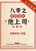 八零之改嫁前夫他上司番外