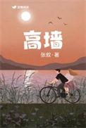 高墙幽深电视剧