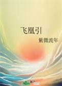 飞凰引紫微流年免费阅读