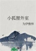 小狐狸6