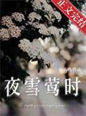 夜雪阅读