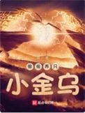 偷偷养只小金乌修炼体系