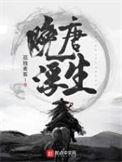 晚唐浮生邵树德玩储氏