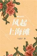 风起上海滩短剧在线观看