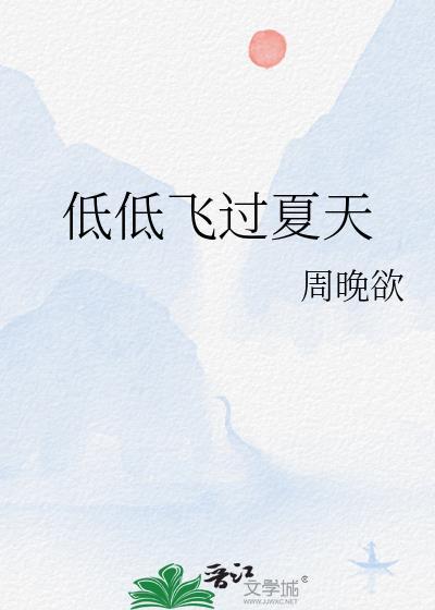 低低飞过夏天免费