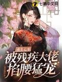 重生七零成了残疾军官的心尖宠