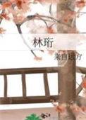 林珩By来自远方故事梗概