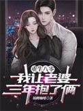 重生八零我让老婆三年抱了俩更新