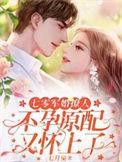 七零军婚不孕妻子又怀孕了