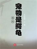 我的宠物鳄龟标题250字