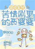 讲恶婆婆的电视剧