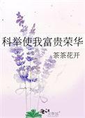 科举让我富贵荣华明光里