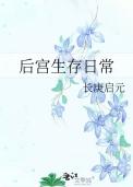 后宫生存法则2游戏攻略