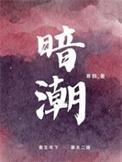 暗潮免费阅读