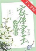 宝玉摔玉的意义