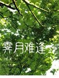 霁月难逢短剧