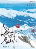 我见南山有车吗