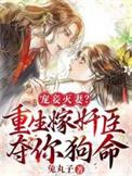 宠妾重生文
