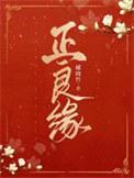 正良缘大结局是什么