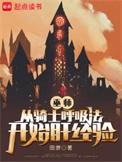 巫师1骑士团