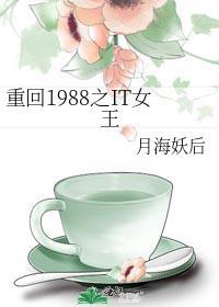 重回1988之it女王24章