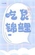 锦鲤之美