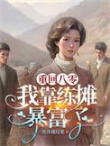 重生八零靠读书