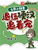 七零闪婚小辣妻随军后千娇百宠了