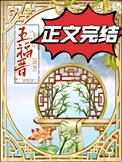 清穿福晋1v1