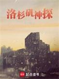 洛杉矶神探好看吗