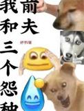 我和三个怨种前夫by妤芋txt
