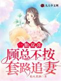 一胎双宝总裁娶妻套路深全文免费阅读