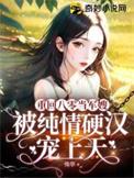 重回八零军旅文推荐
