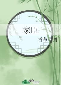 家臣by二氧化钛