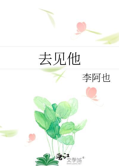 去见他结局