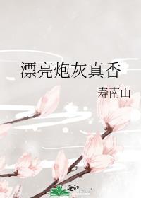 漂亮炮灰真香作者寿南山
