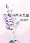 非常规事件调查组百度资源
